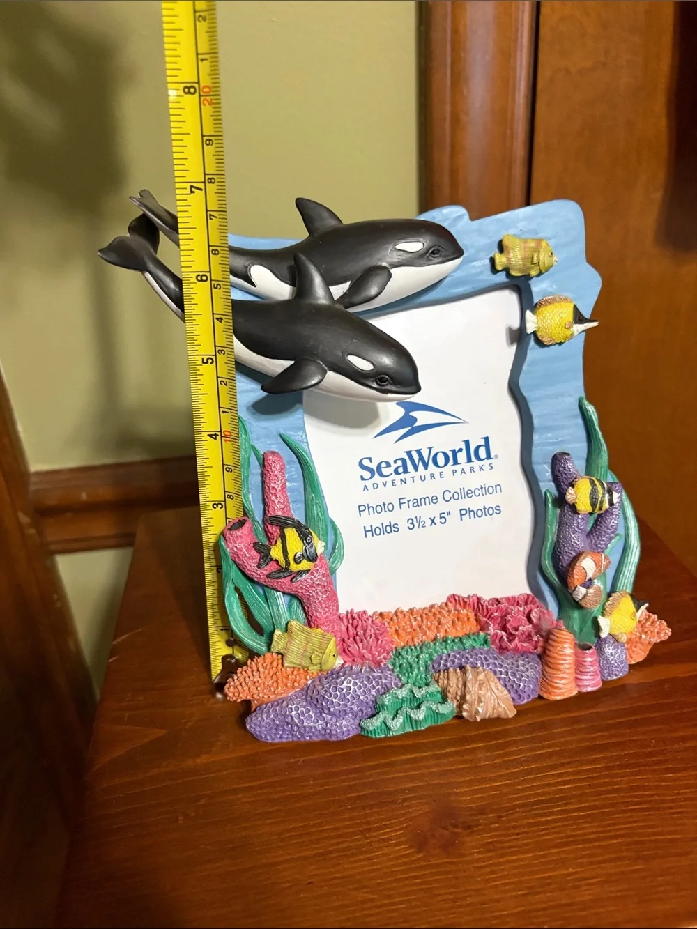 SeaWorld Blue Ocean Dolphin Photo Frame-Holds 3 1/2 x 5” Photo